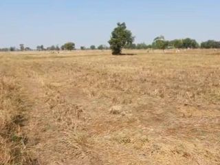 For sale land in Huai Rat, Buriram