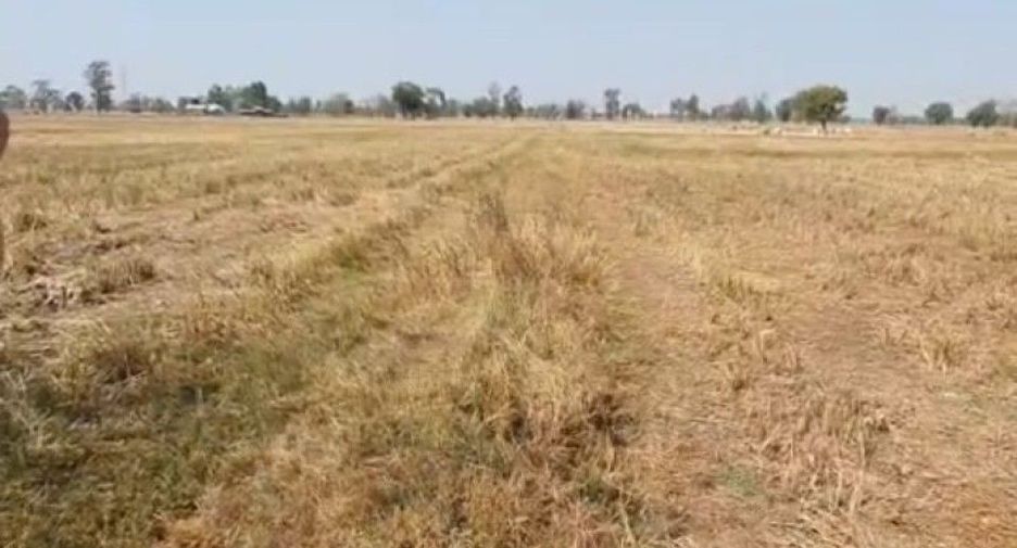 For sale land in Huai Rat, Buriram