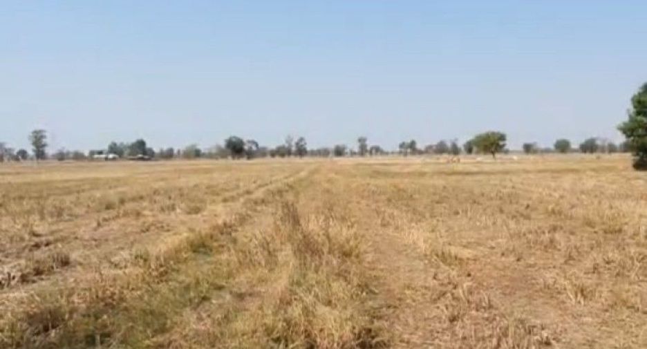 For sale land in Huai Rat, Buriram