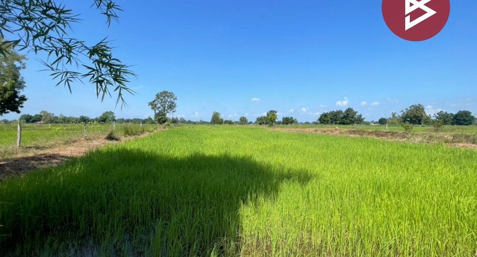 Grundstück zum Kauf in Ban Phai, Khon Kaen