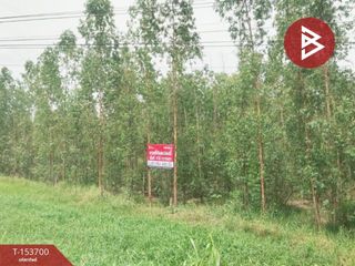 À vendre terrain à Lat Yao, Nakhon Sawan