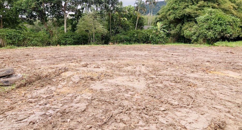 For sale land in Mueang Rayong, Rayong