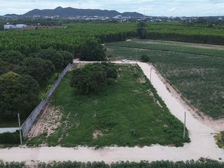 For sale land in Ban Chang, Rayong