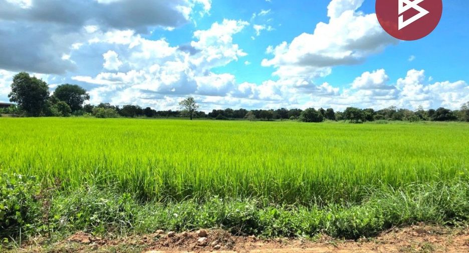 For sale land in Borabue, Maha Sarakham