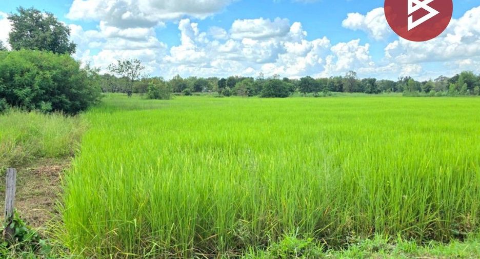 For sale land in Borabue, Maha Sarakham