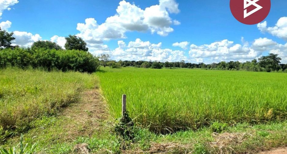 For sale land in Borabue, Maha Sarakham