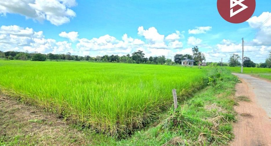 For sale land in Borabue, Maha Sarakham