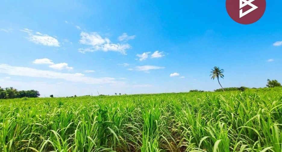 For sale 2 bedrooms house in Song Phi Nong, Suphan Buri