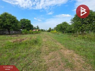For sale land in Changhan, Roi Et