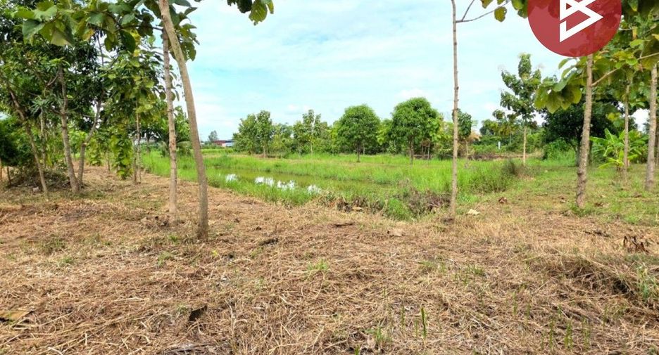 For sale land in Changhan, Roi Et