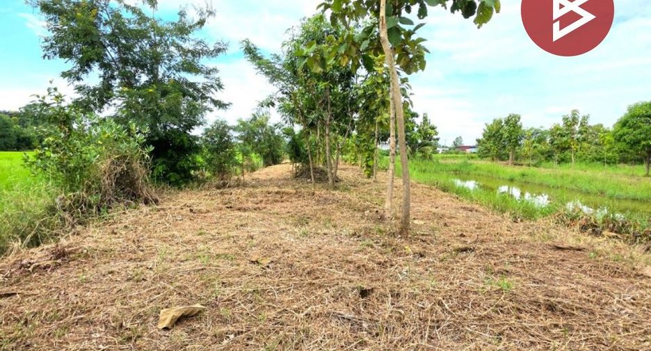 For sale land in Changhan, Roi Et