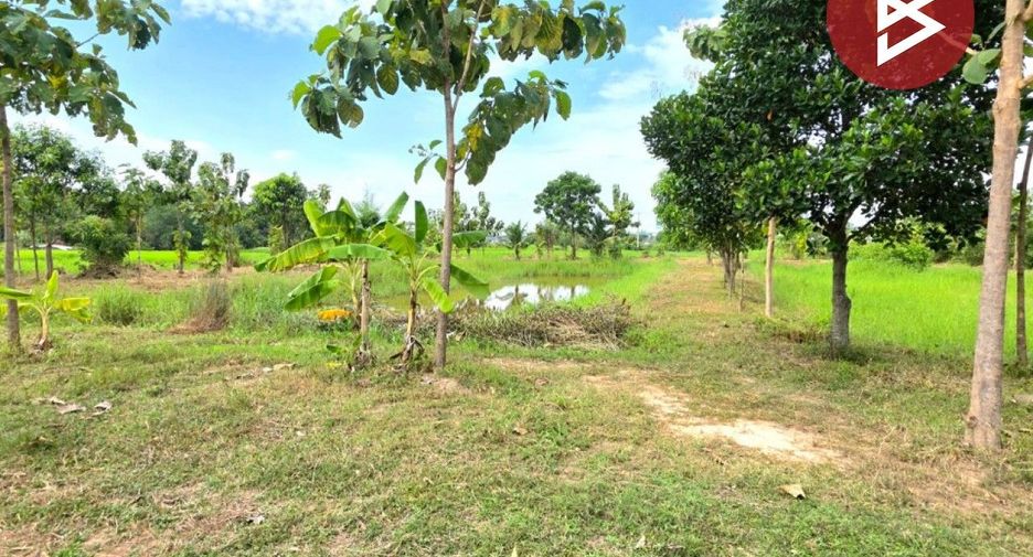 For sale land in Changhan, Roi Et