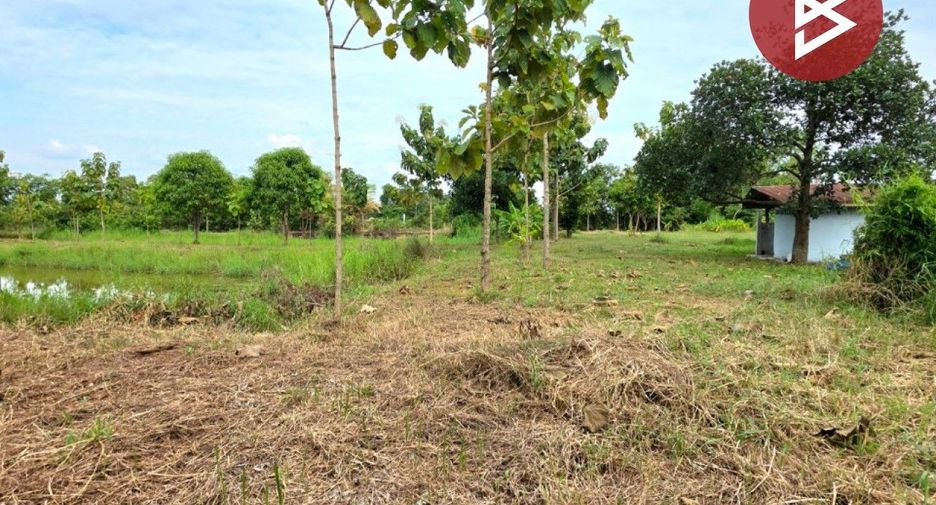 For sale land in Changhan, Roi Et