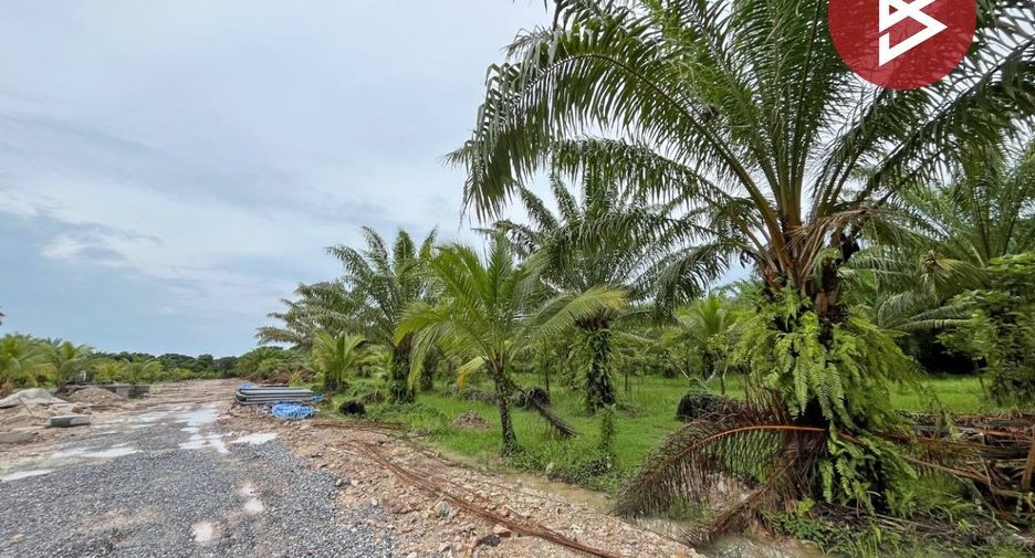 Grundstück zum Kauf in Mueang Nakhon Si Thammarat, Nakhon Si Thammarat
