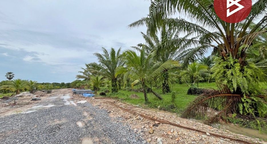 Grundstück zum Kauf in Mueang Nakhon Si Thammarat, Nakhon Si Thammarat
