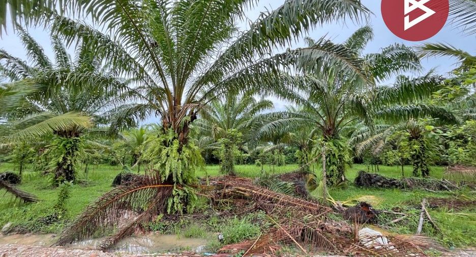 Grundstück zum Kauf in Mueang Nakhon Si Thammarat, Nakhon Si Thammarat