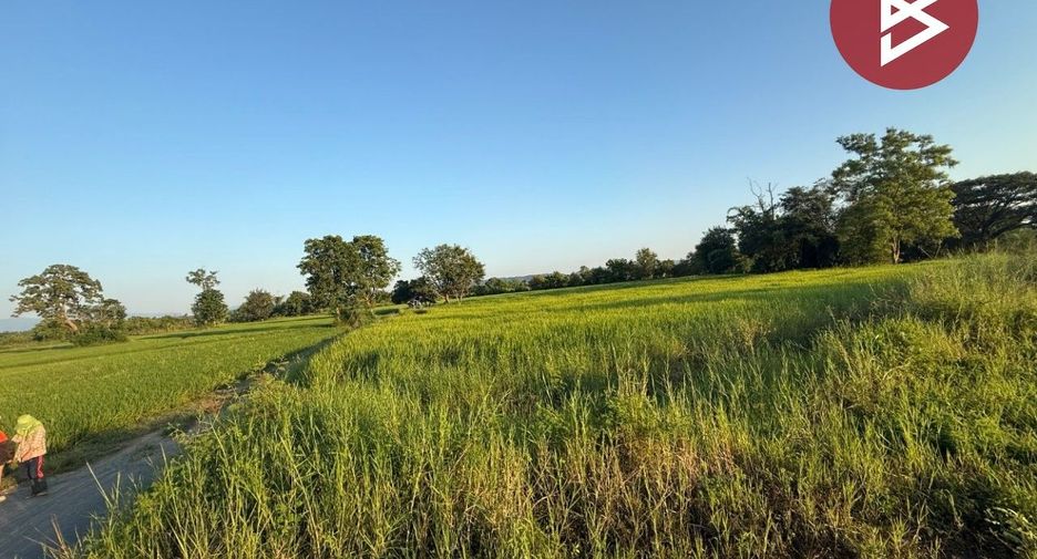For sale land in Chiang Kham, Phayao