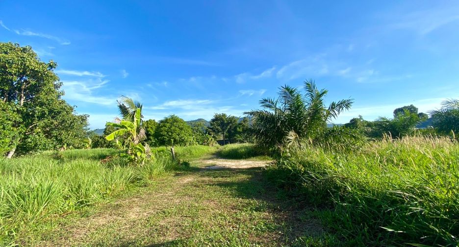 Grundstück zum Kauf in Thalang, Phuket