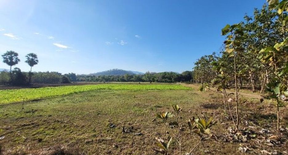 For sale land in Soem Ngam, Lampang