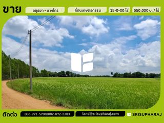 ขาย ที่ดิน ใน บางไทร, พระนครศรีอยุธยา