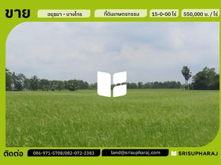 ขาย ที่ดิน ใน บางไทร, พระนครศรีอยุธยา