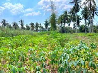 For sale land in Bang Lamung, Chonburi