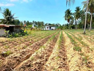 For sale land in Bang Lamung, Chonburi