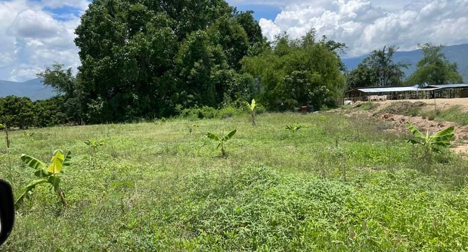 For sale land in Chom Thong, Chiang Mai