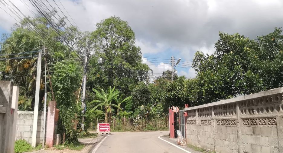 For sale land in Mueang Chiang Mai, Chiang Mai