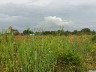 For rent land in Si Racha, Chonburi