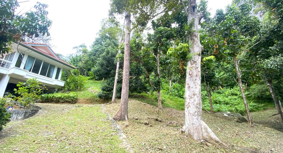 出售 土地 在 Kathu, 普吉