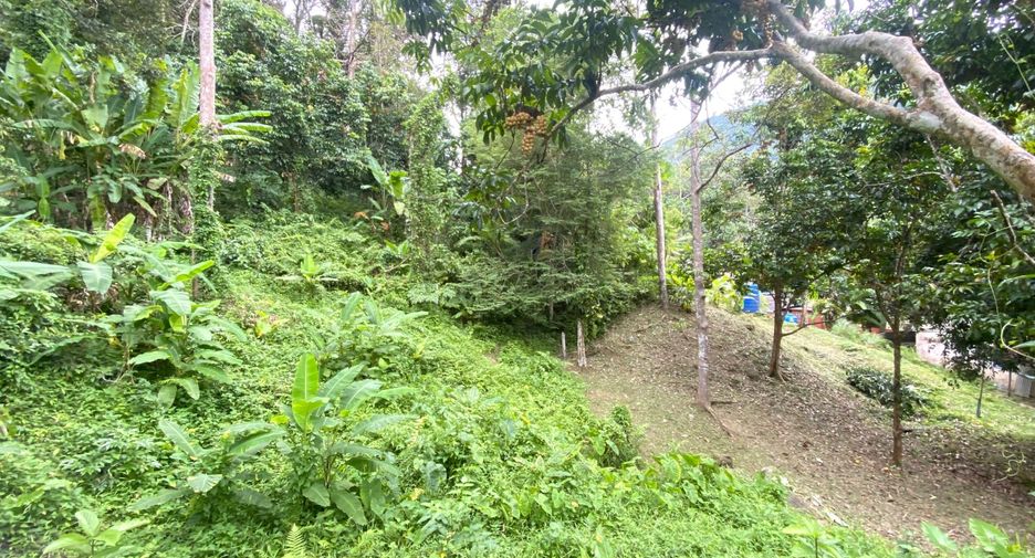 出售 土地 在 Kathu, 普吉