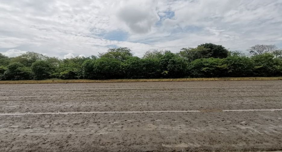 For rent land in Nong Suea, Pathum Thani