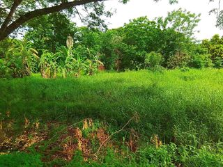 For sale land in Mueang Lampang, Lampang