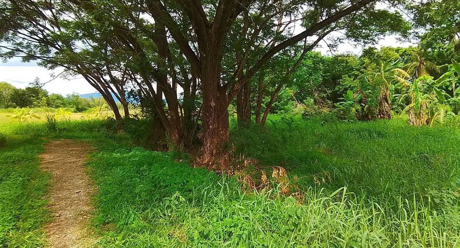 Grundstück zum Kauf in Mueang Lampang, Lampang