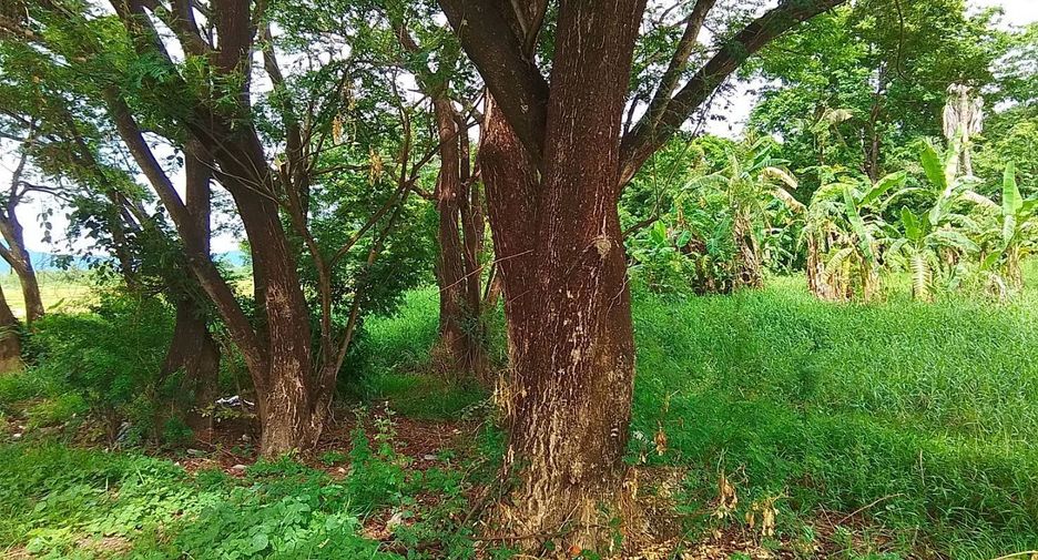 Grundstück zum Kauf in Mueang Lampang, Lampang