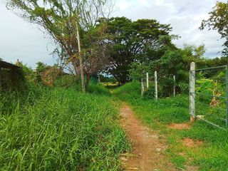 For sale land in Mueang Lampang, Lampang