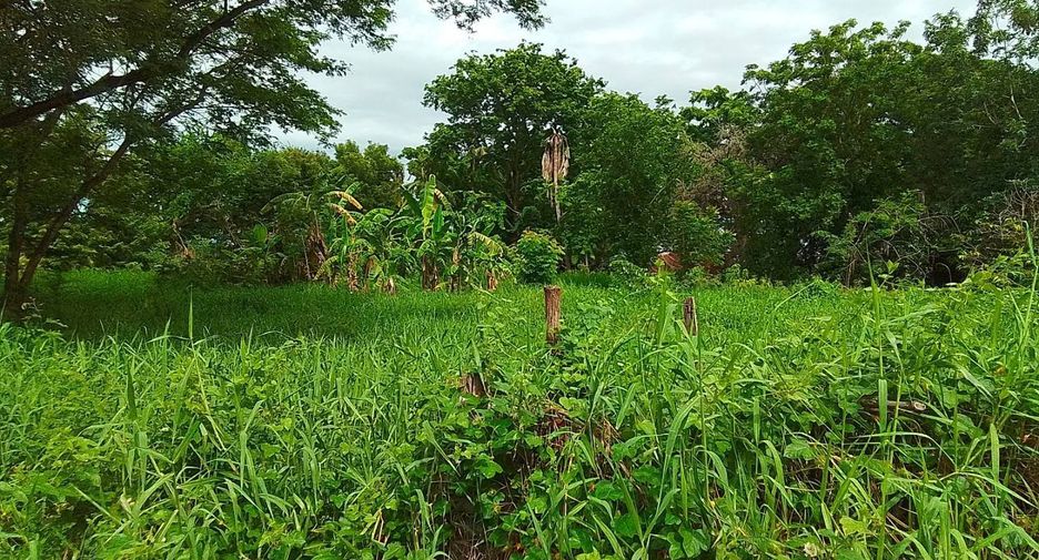 Grundstück zum Kauf in Mueang Lampang, Lampang