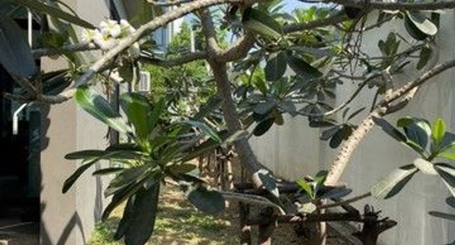 For sale 3 bedrooms townhouse in Mueang Nonthaburi, Nonthaburi
