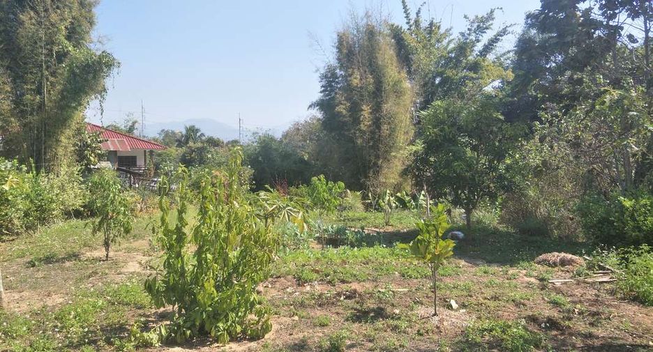 Casa en venta de 2 habitaciones en Pai, Mae Hong Son