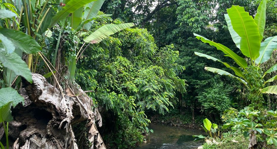 For sale 1 bed retail Space in Mueang Krabi, Krabi
