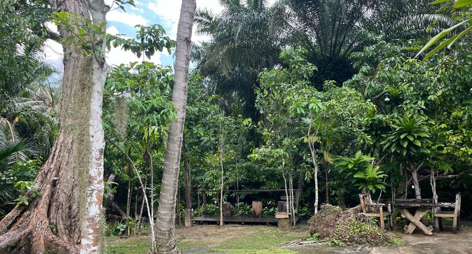 For sale 1 bed retail Space in Mueang Krabi, Krabi