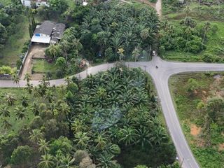 ขาย ที่ดิน ใน เหนือคลอง, กระบี่