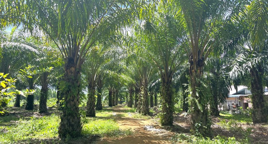 For sale land in Thai Mueang, Phang Nga