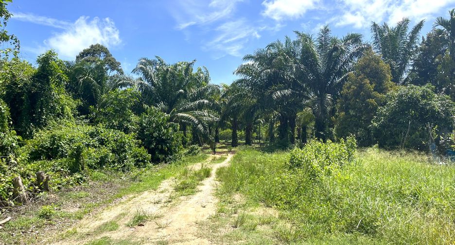 For sale land in Thai Mueang, Phang Nga