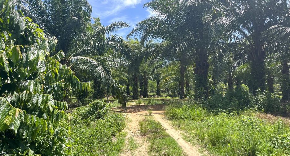 For sale land in Thai Mueang, Phang Nga