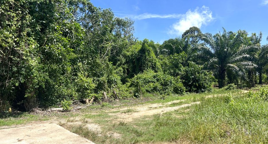 For sale land in Thai Mueang, Phang Nga