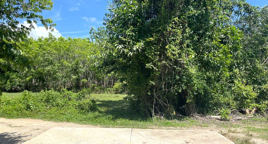 For sale land in Thai Mueang, Phang Nga