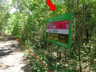 Продажа Участок в Chon Daen, Phetchabun