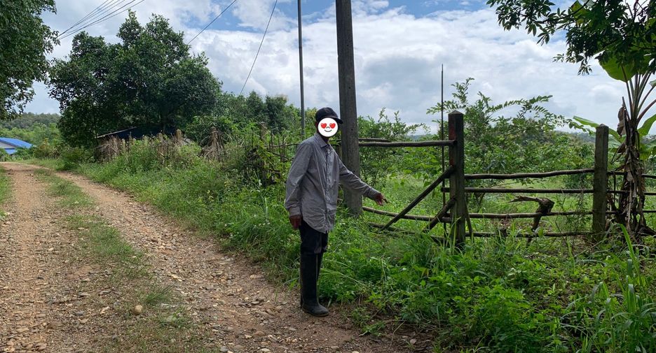 For sale land in Pua, Nan